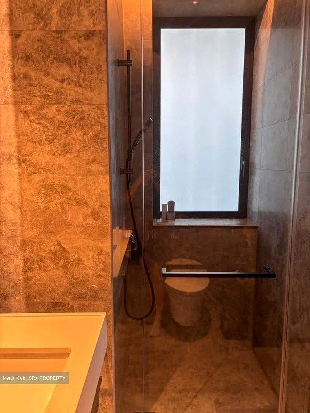 Cuscaden Reserve (D10), Condominium #608125941